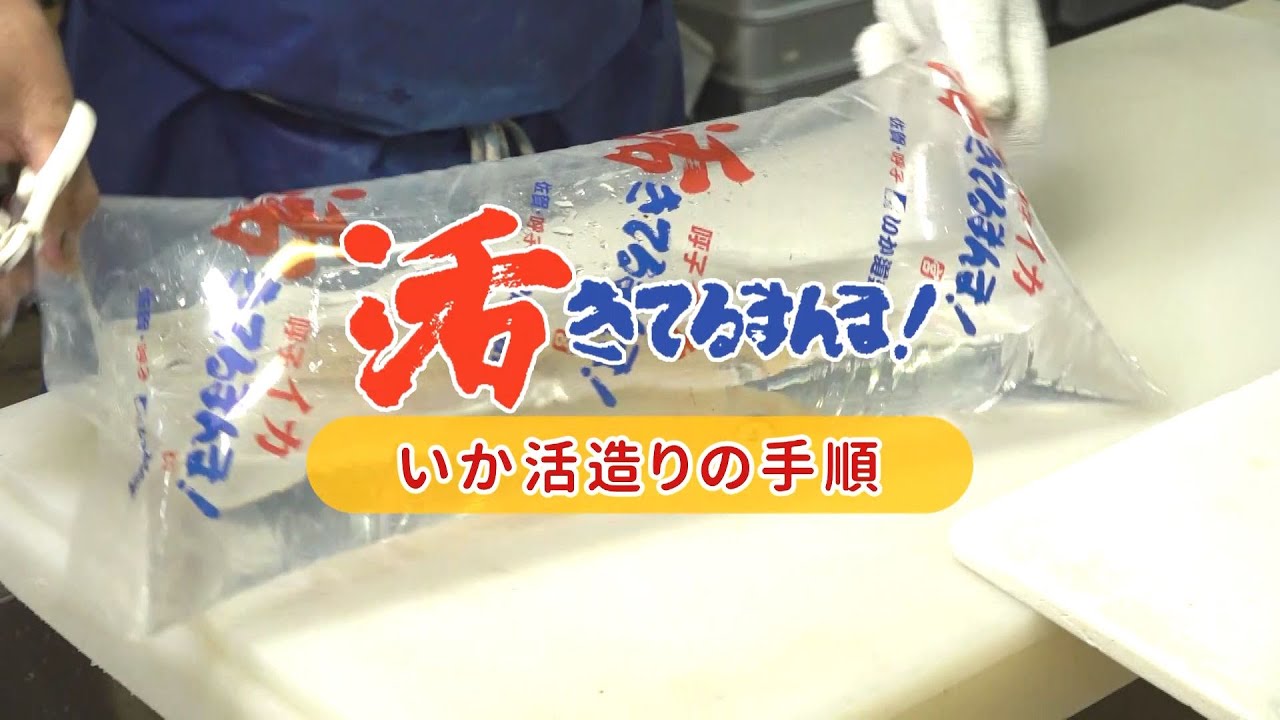 いか道楽活きてるまんま いか活造りの手順