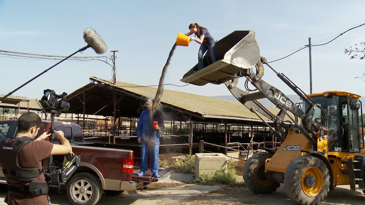 Hebrew Lessons - Are You Kidding Me A Scottish Israeli Geezer!