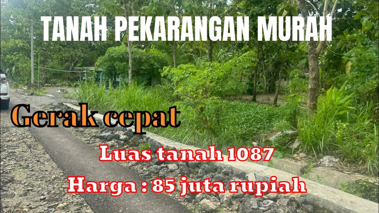 TANAH PEKARANGAN HARGA 85 JUTA RUPIAH @rajiproperty channel