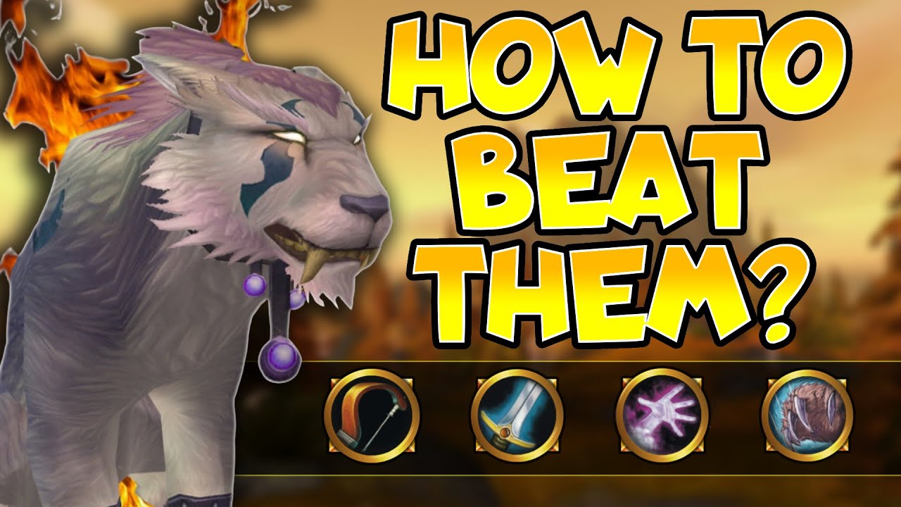 SoD Feral Druid PVP | Strats in 1v1 Situations PART I 📚- Phase 2 Season of Discovery Guide