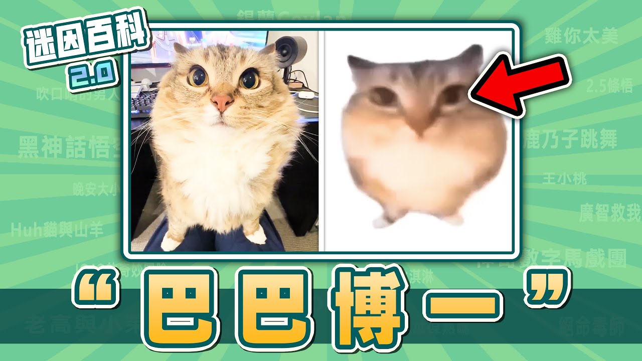 最洗腦的一集⚡⚡⚡！&ldquo;巴巴博一/BaBaBooey&rdquo;是什麽迷因？【迷因百科】#巴巴博一 #BaBaBooey #蛋貓 #luna #lunaistabby #哈基米 #meme #音效梗 #迷因