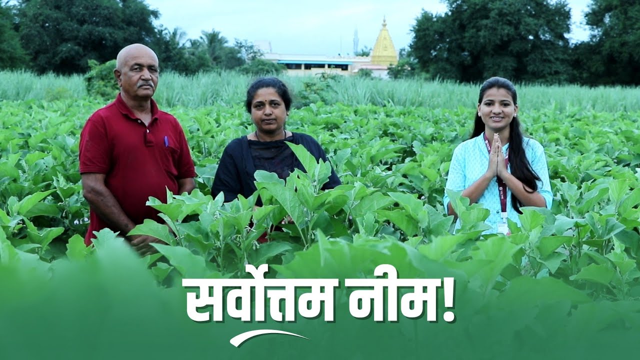 भारतातले सर्वोत्कृष्ट नीम l India's Best Neem Oil |Orga neem|
