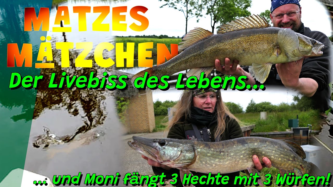 Matzes Mätzchen - Der Livebiss des Lebens!