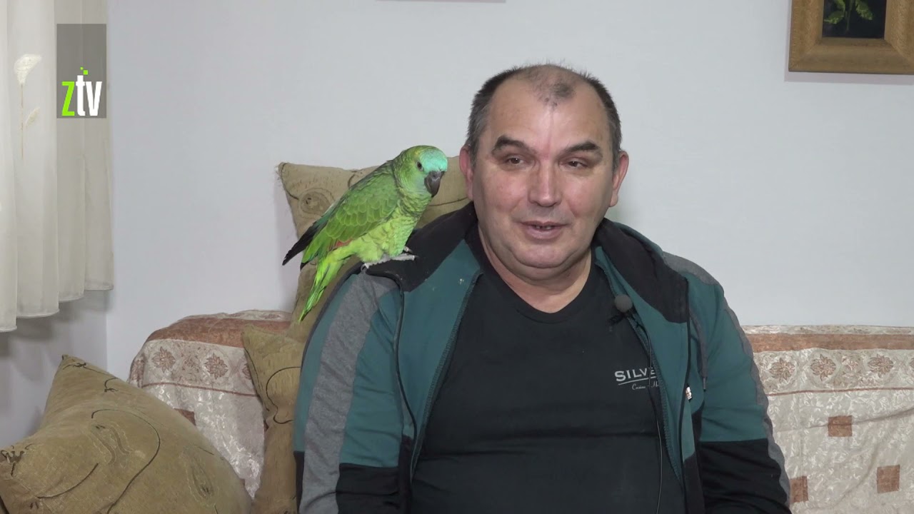Vasiljevići iz Zaječara čuvaju papagaje koji govore