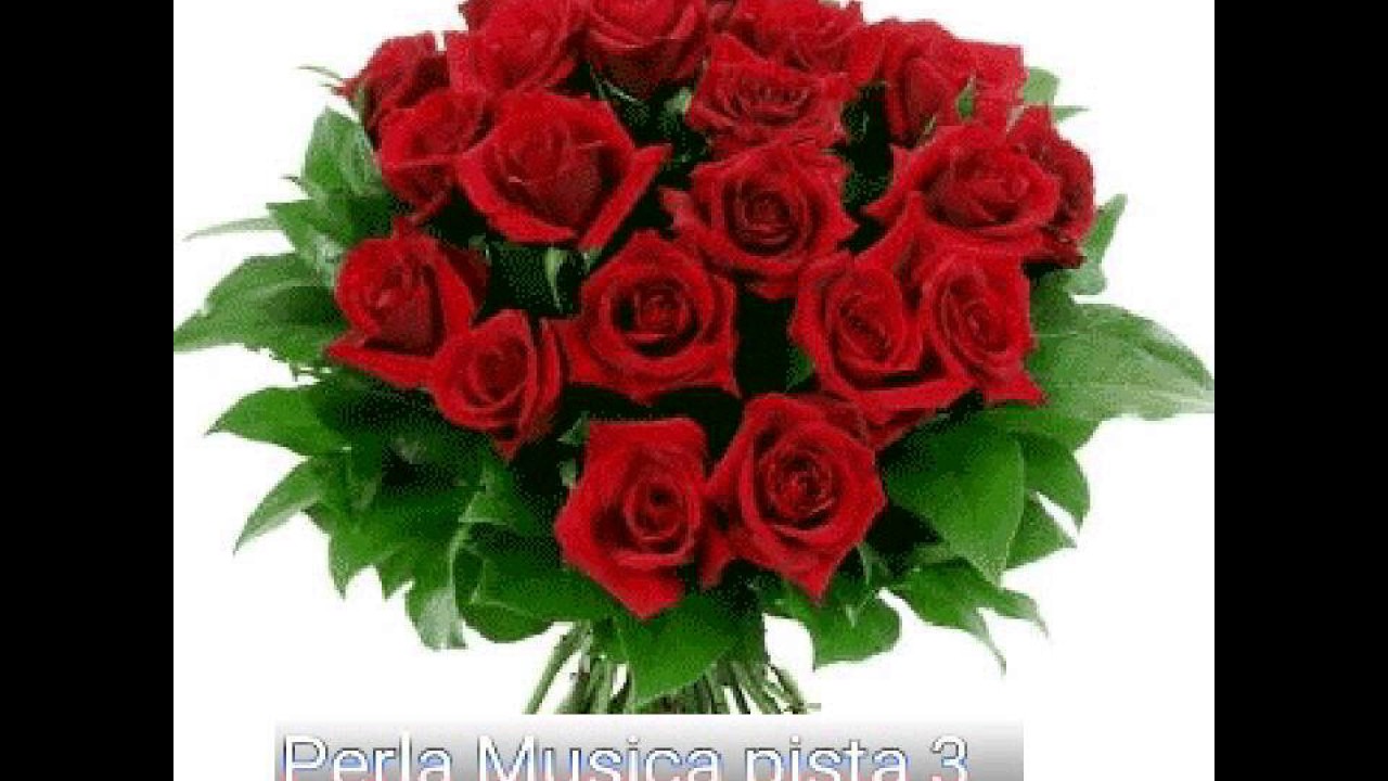 Perla musical pista 3