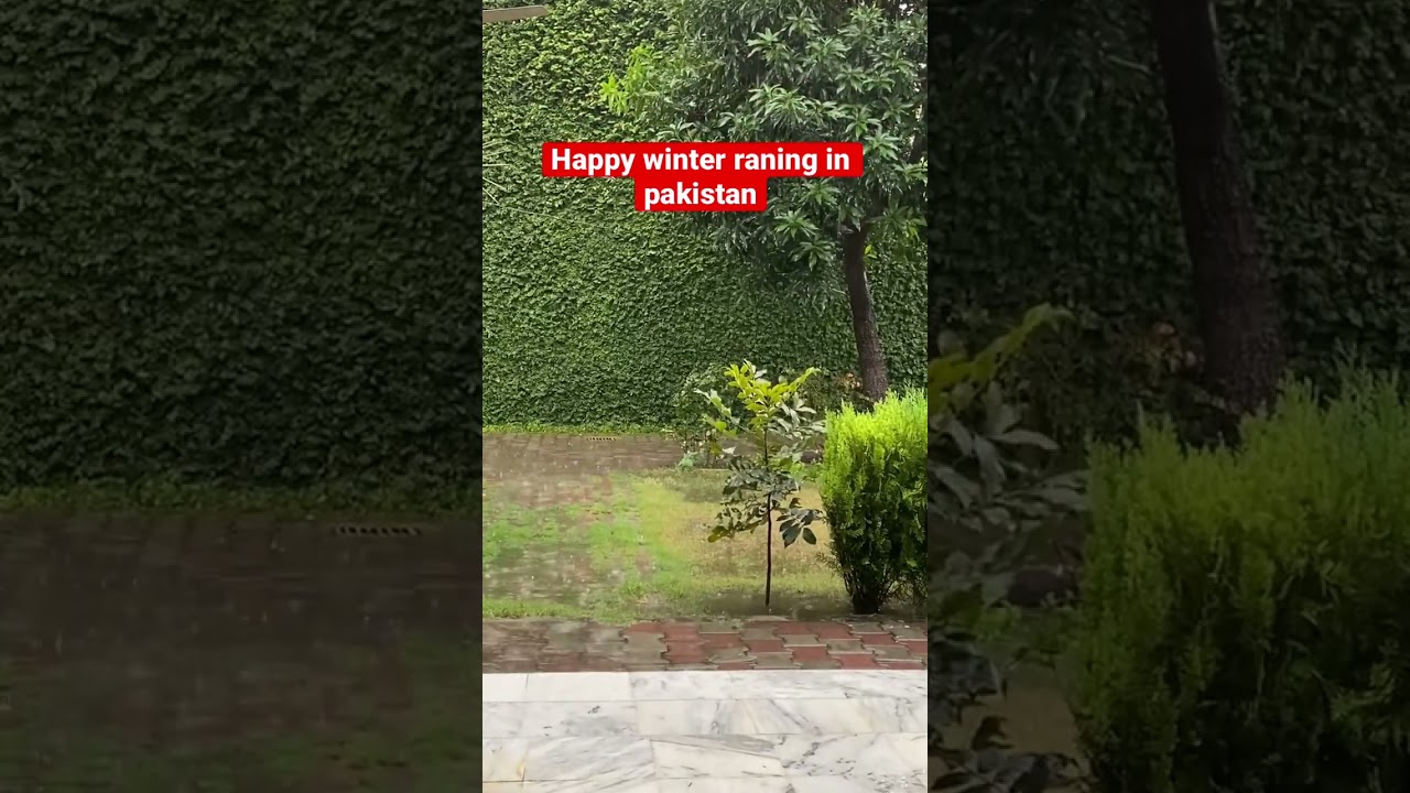 First rain of winter #foryou
