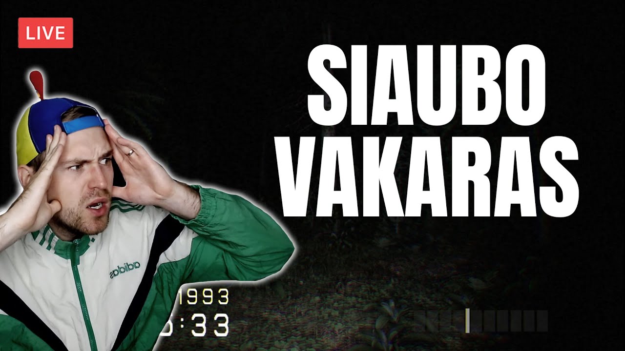 Siaubo Vakaras