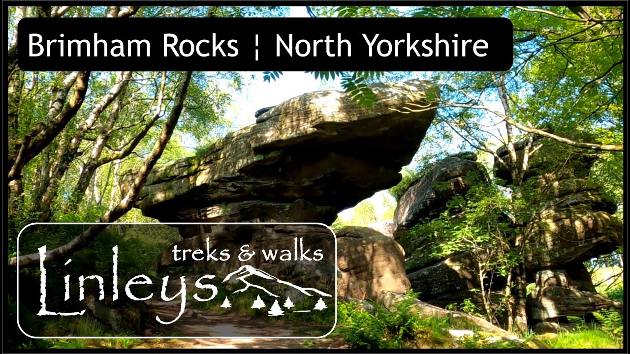 Brimham Rocks ¦ North Yorkshire ¦ Exploration around the wonderful geologic features