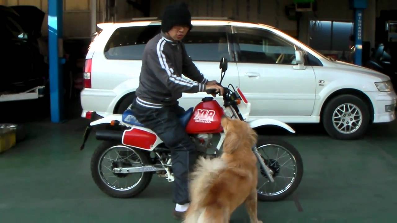 XLR80R　参考動画