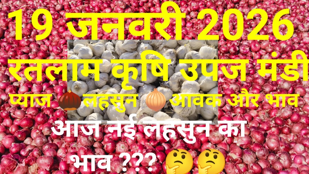 रतलाम मंडी प्याज लहसुन भाव। 19 जनवरी 202। Ratlam Mandi pyaj lahasun bhav today। Ratlam Mandi bhav।
