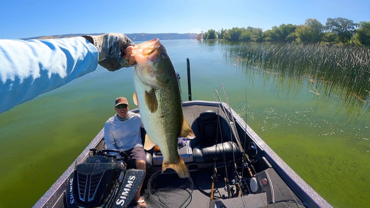 Froggin' and Flippin' for BIG Clear Lake Bass!