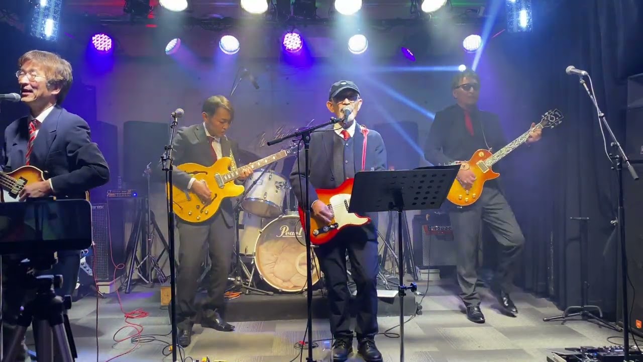 I Want To Hold Your Hand/Beatles Geatles 