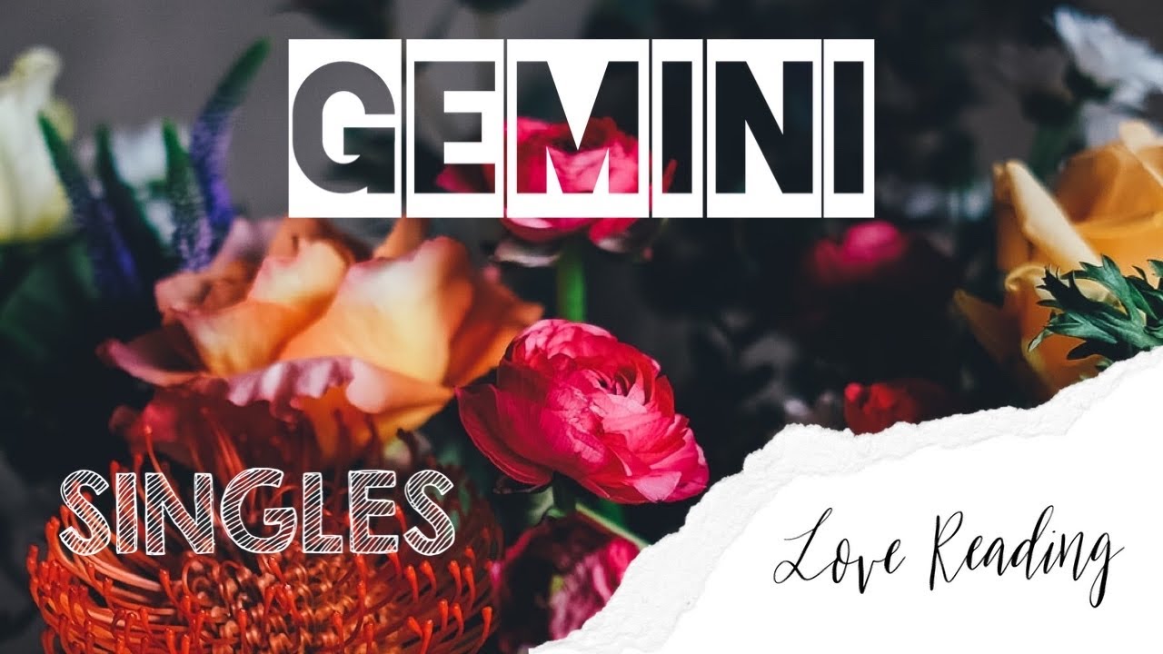 GEMINI ⚡️ SINGLES “TWO for the PRICE of ONE” LOVE 💗 READING