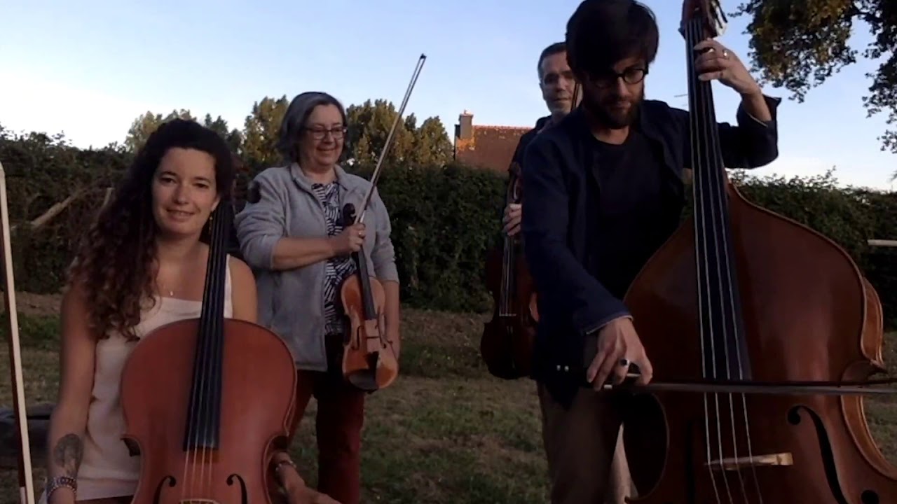 Les cordes frottées