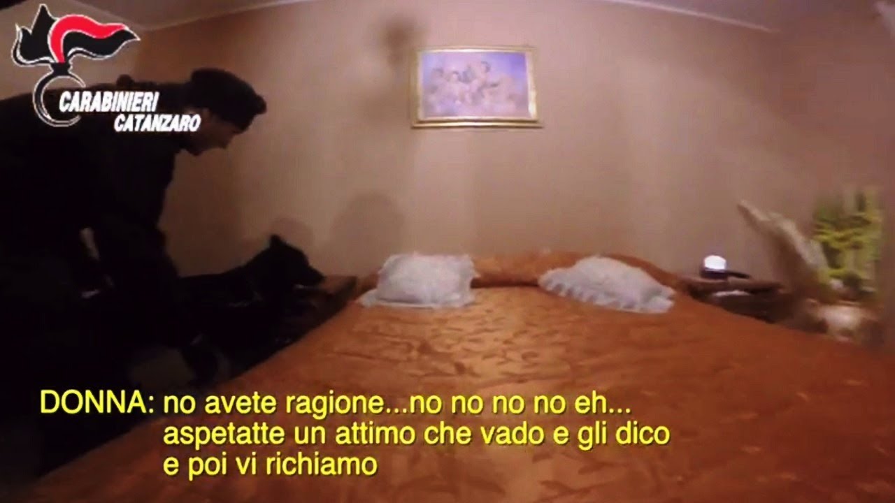 Operazione Crisalide: quattro arresti per “cavallo di ritorno” a Lamezia Terme  | Le intercettazioni