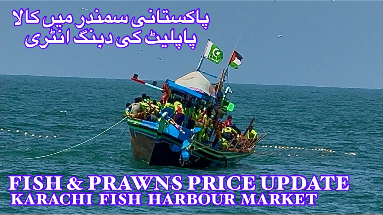 FISH & PRAWNS PRICE UPDATE KARACHI FISH HARBOUR MARKET January 21, 2026