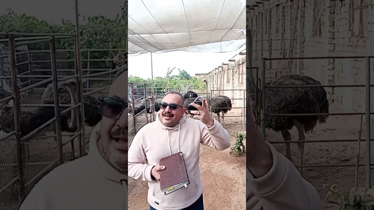 علاج الجرب والعبقريه المزيفه