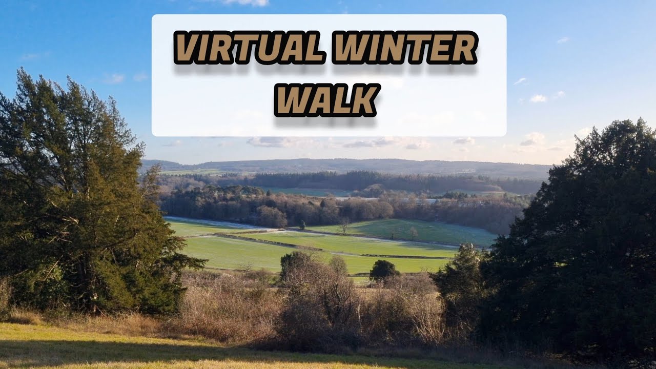 Virtual winter walk | Virtual walk | relaxing | asmr | footsteps | birdsong | slowtv | background 