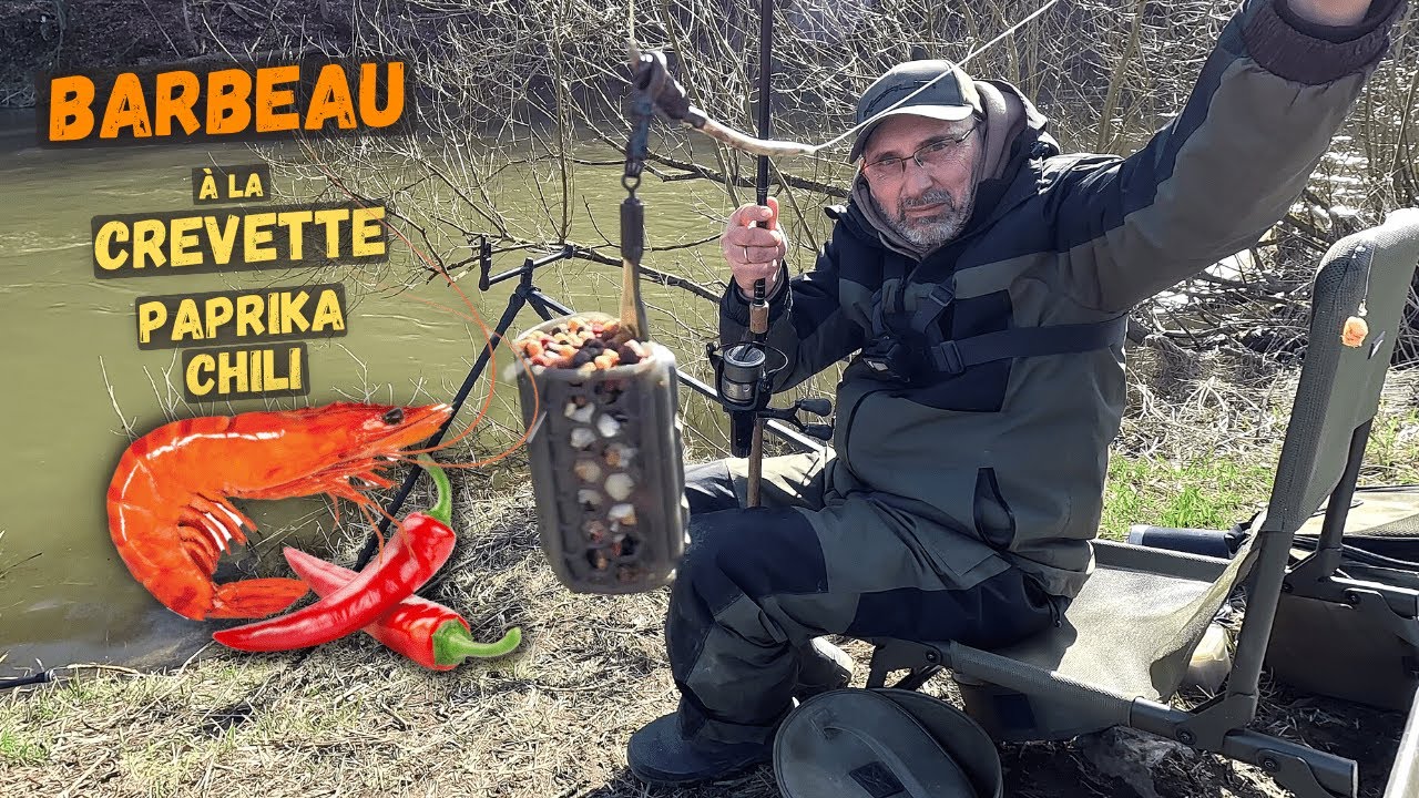 La Crevette Paprika-Chili, l'appât ultime pour le Barbeau ?
