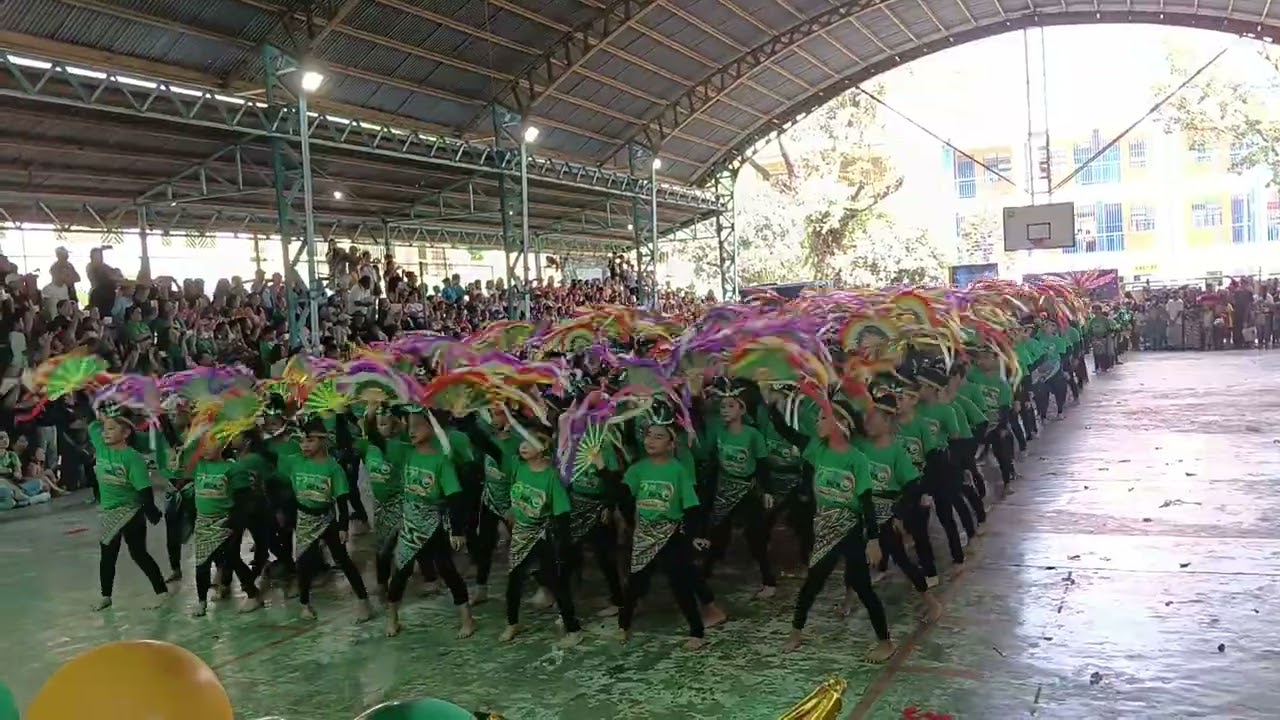 BSES 52nd Founding Anniversary (Field Demo) Grade 4 level