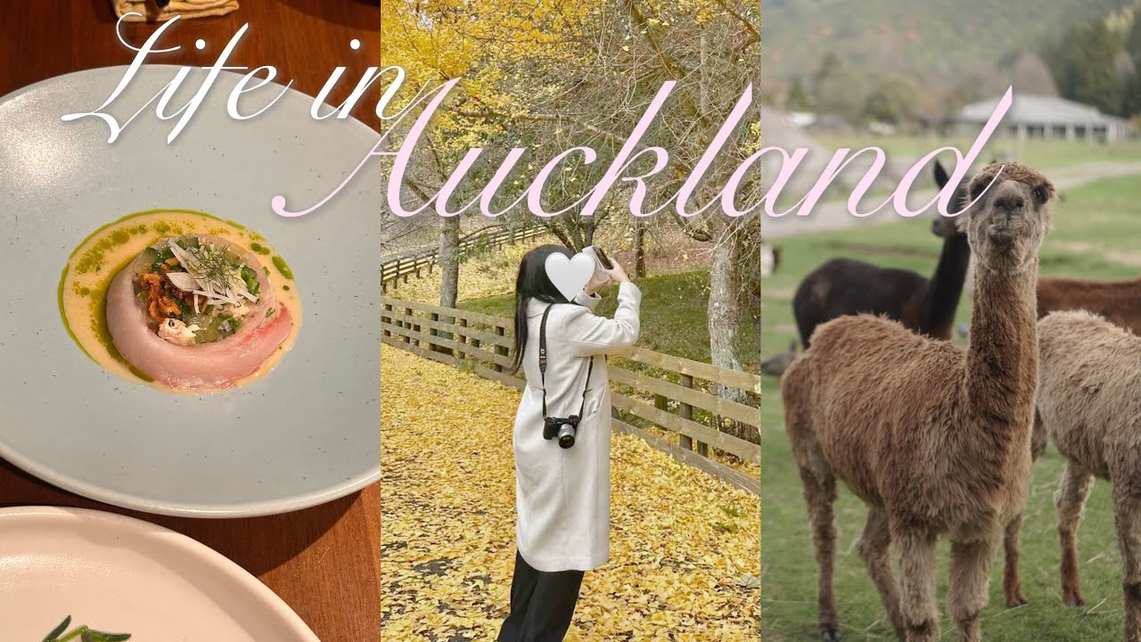 Life in Auckland Vlog | Rotorua Trip, Farm Tour with Alpacas, Ahi, Korean Hotpot & Blue Spring