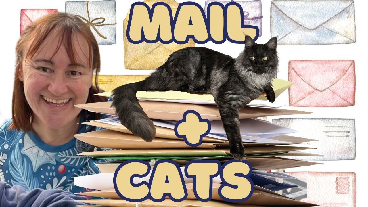 A Slow Vlog: Opening Your Mail And Recovering From Colds