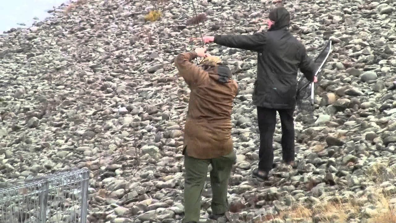 Trophy Trout Adventures at Ohau Canal