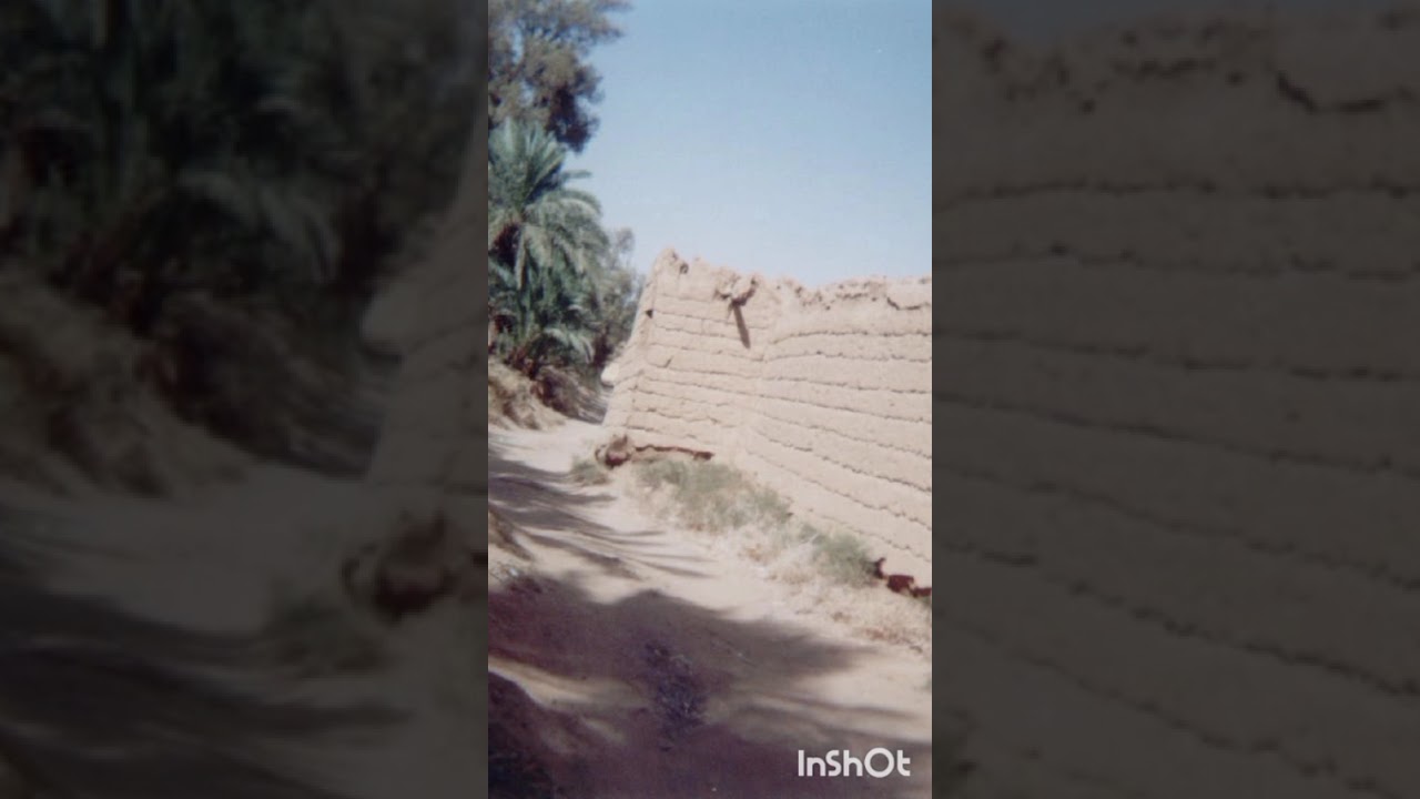 ما يقال في الصباح والمساء