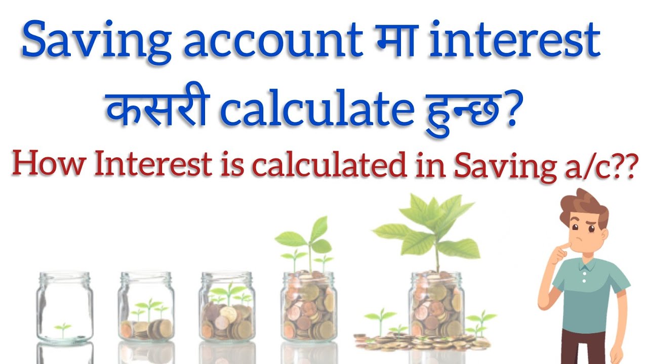 Saving account interest calculation | How to calculate Interest on Saving account