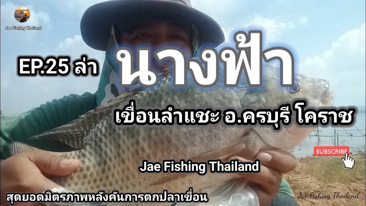 EP.25 ล่านางฟ้าเขื่อนลำแชะ อ.ครบุรี โคราช สุดยอดมิตรภาพหลังคันการตกปลาเขื่อน By Jae Fishing Thailand