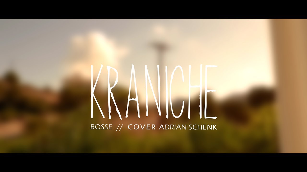 Kraniche - Bosse (Cover von Adrian Schenk)