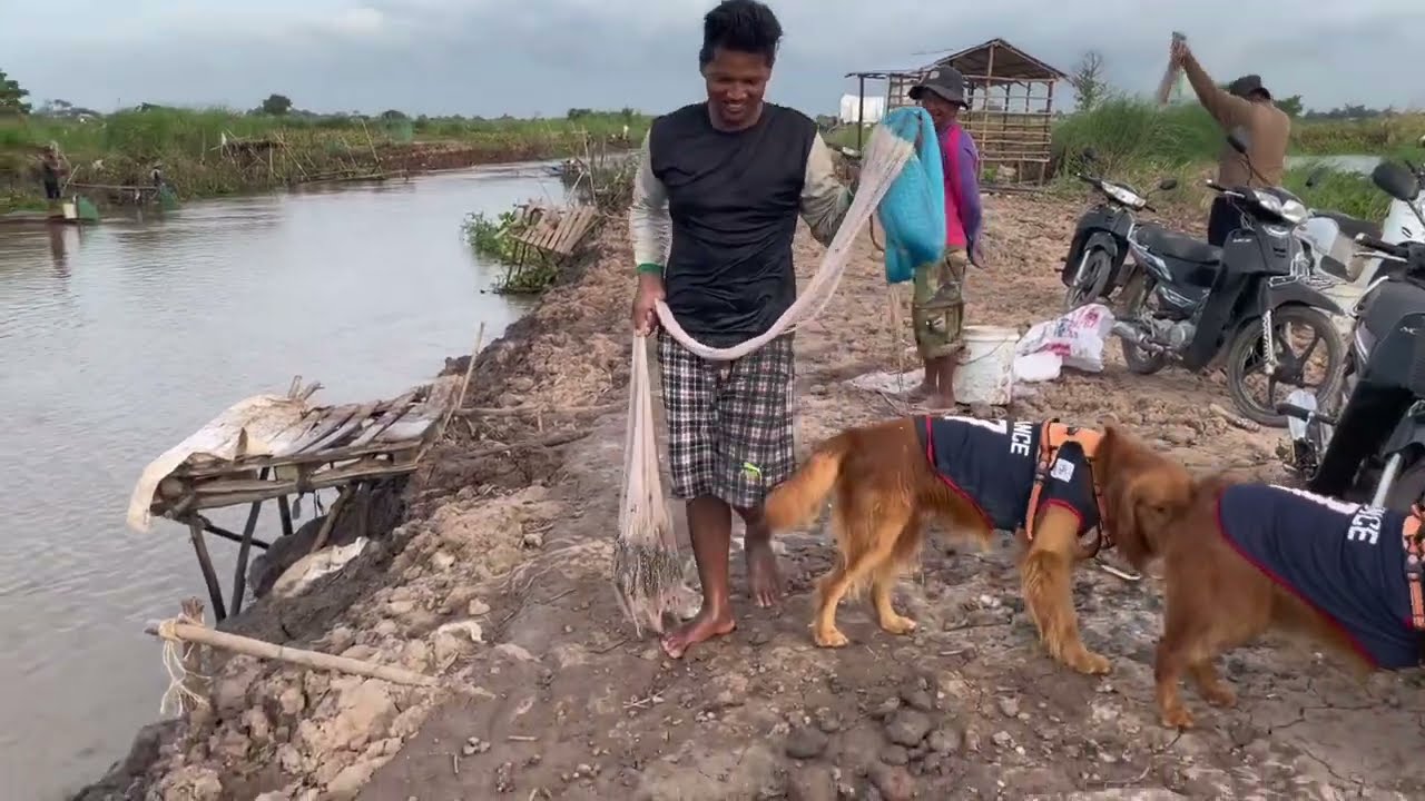 The people in Cambodia they trying to catching fish  is very hard by Ancient trad