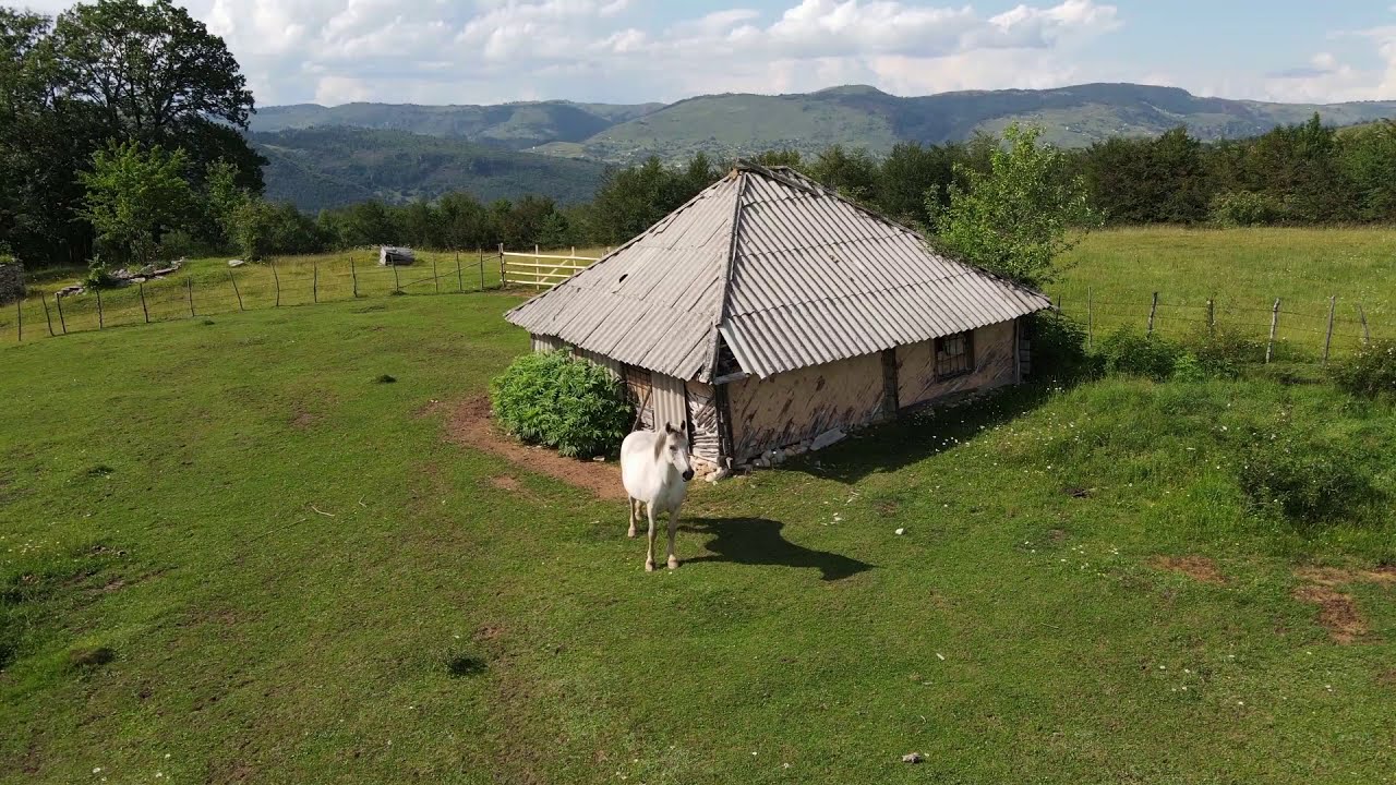 Bihor - Trpezi