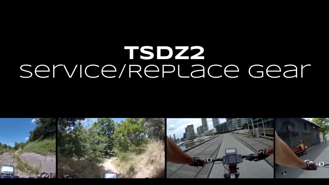 TSDZ2 Blue Gear Replacement and Service