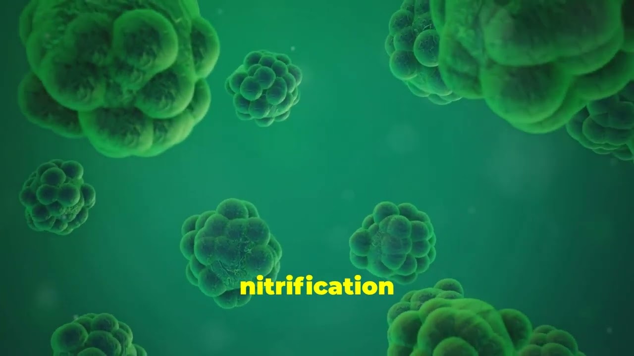 How Can Cleargreen&rsquo;s Carbon Nanotech and Microbes Purify Water?