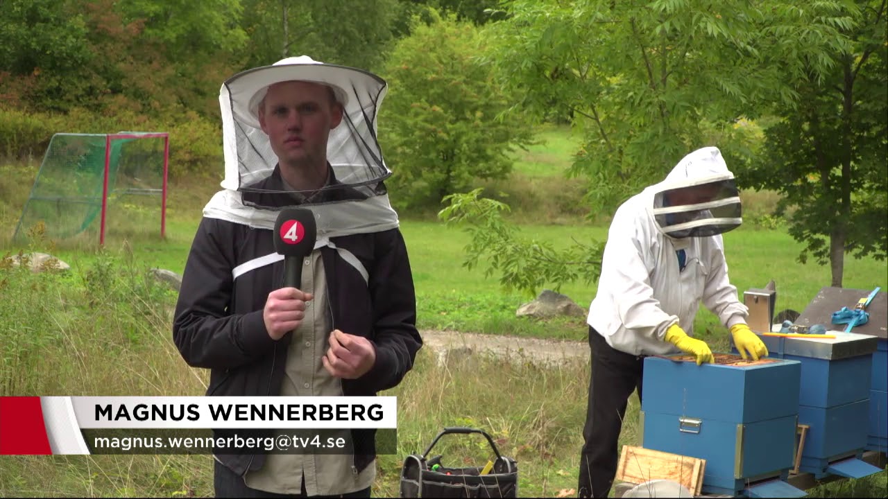 Fuskhonung hotar svensk biodling - Nyheterna (TV4)