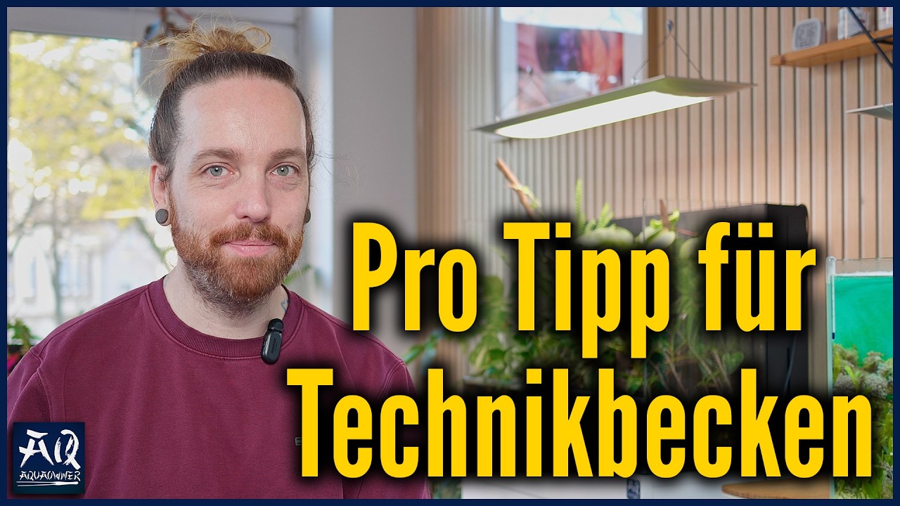 Str&ouml;mung im Technikbecken | AquaOwner Pro Tipp