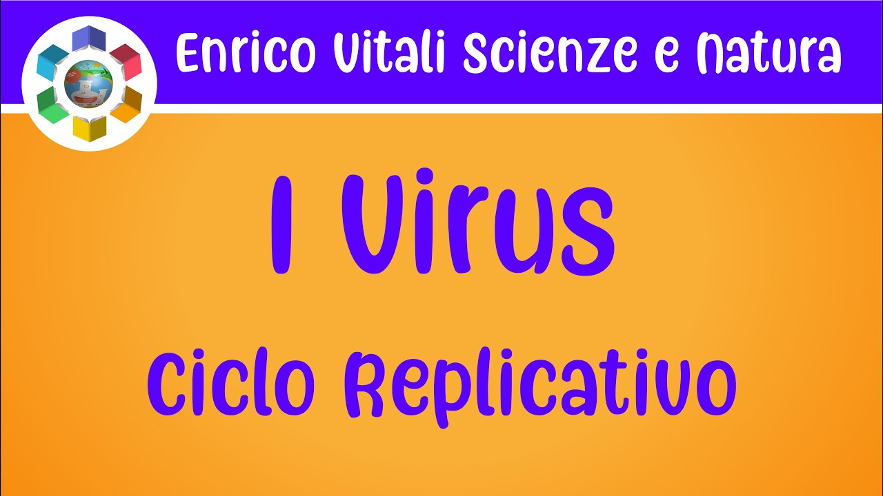 I virus: ciclo replicativo spiegato in modo semplice.