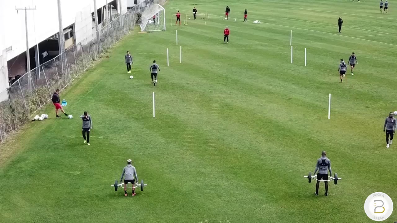 Fuerza especifica