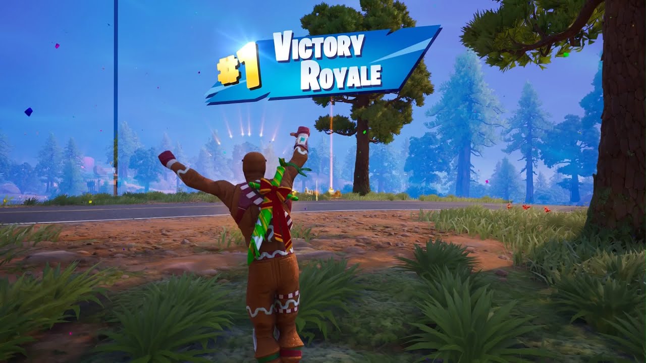 MERRY MARAUDER (Smile Style) Skin Solo Gameplay in FORTNITE!