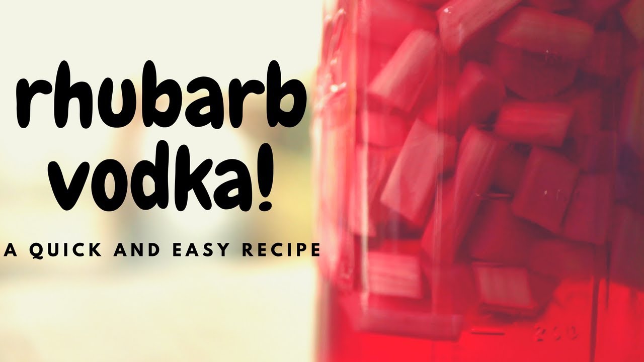 Rhubarb Vodka. Easy Home Infusion!
