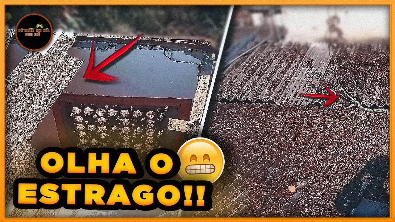 UMA &Aacute;RVORE ENORME CAIU NA CASA DO MEU IRM&Atilde;O!😧FIZ O CONSERTO E OLHA COMO FICOU...