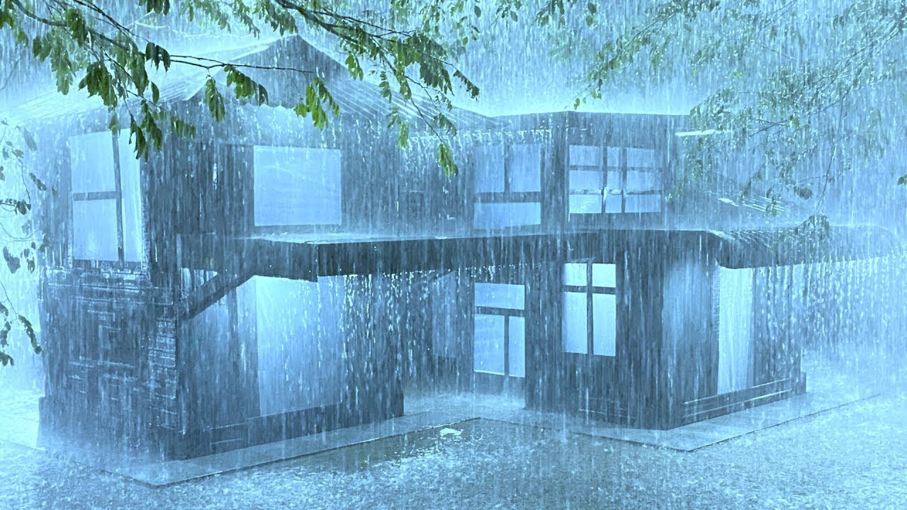 Beat Insomnia with Torrential Rain and Violent Thunder on a Fragile Tin Roof in a Mystical Forest