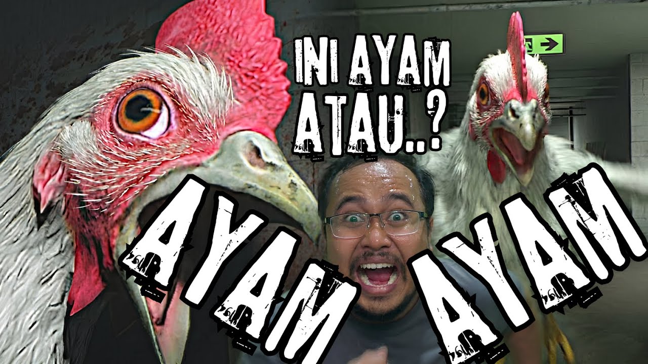 🐔Ayam atau AYAM! 😱 - Chicken Feet😱🐔
