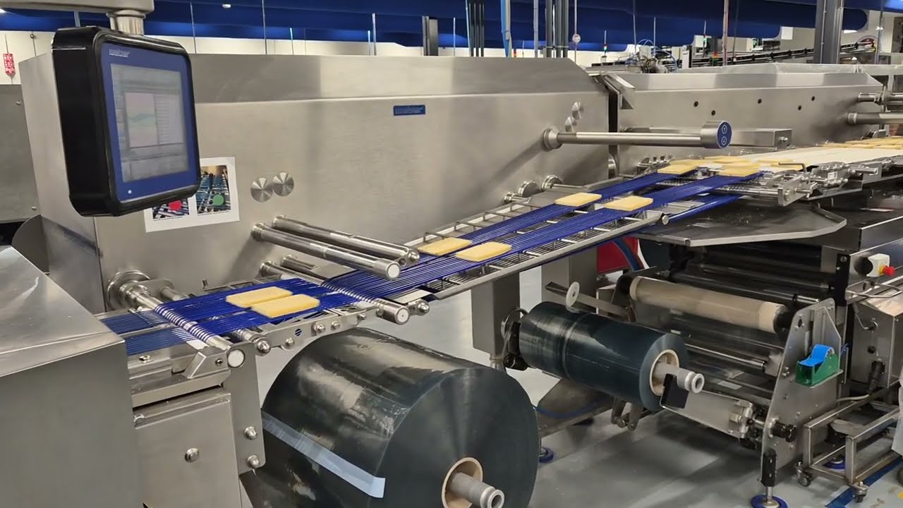 Multivac R530 packaging line with Robert Pack robot