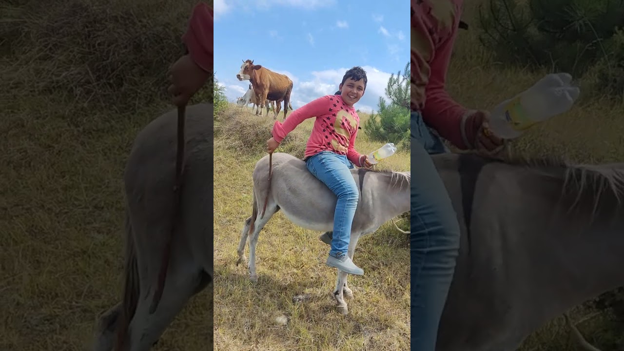 ÇOBANLIK TA BİR GÜN DAHA SÜRPRİZ GENÇ ADAM