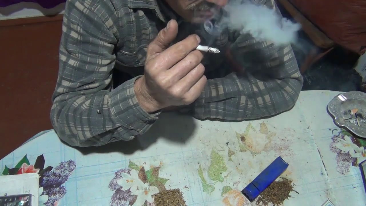 Дегустация табака берлиевых сортов