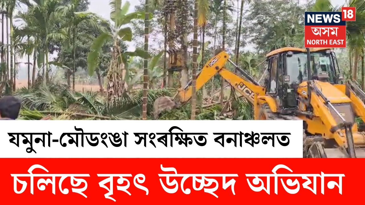 Doboka Eviction News | ডবকাৰ যমুনা-মৌডংঙা সংৰক্ষিত বনাঞ্চলত চলিছে বৃহৎ উচ্ছেদ অভিযান | N18V