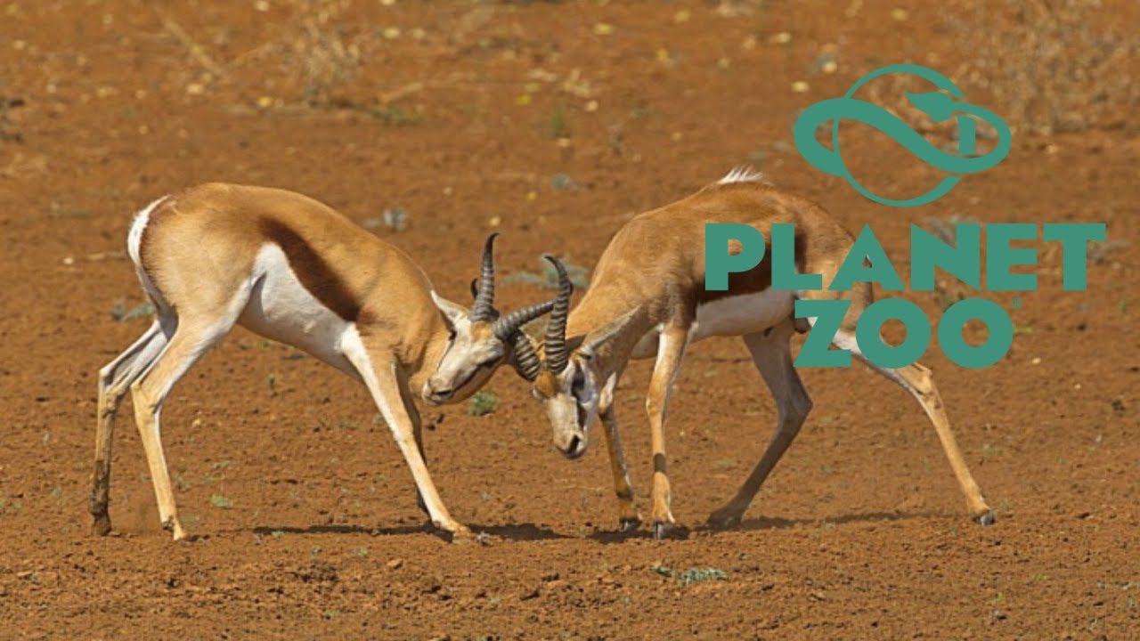 Springbok Habitat Speed build: Planet Zoo