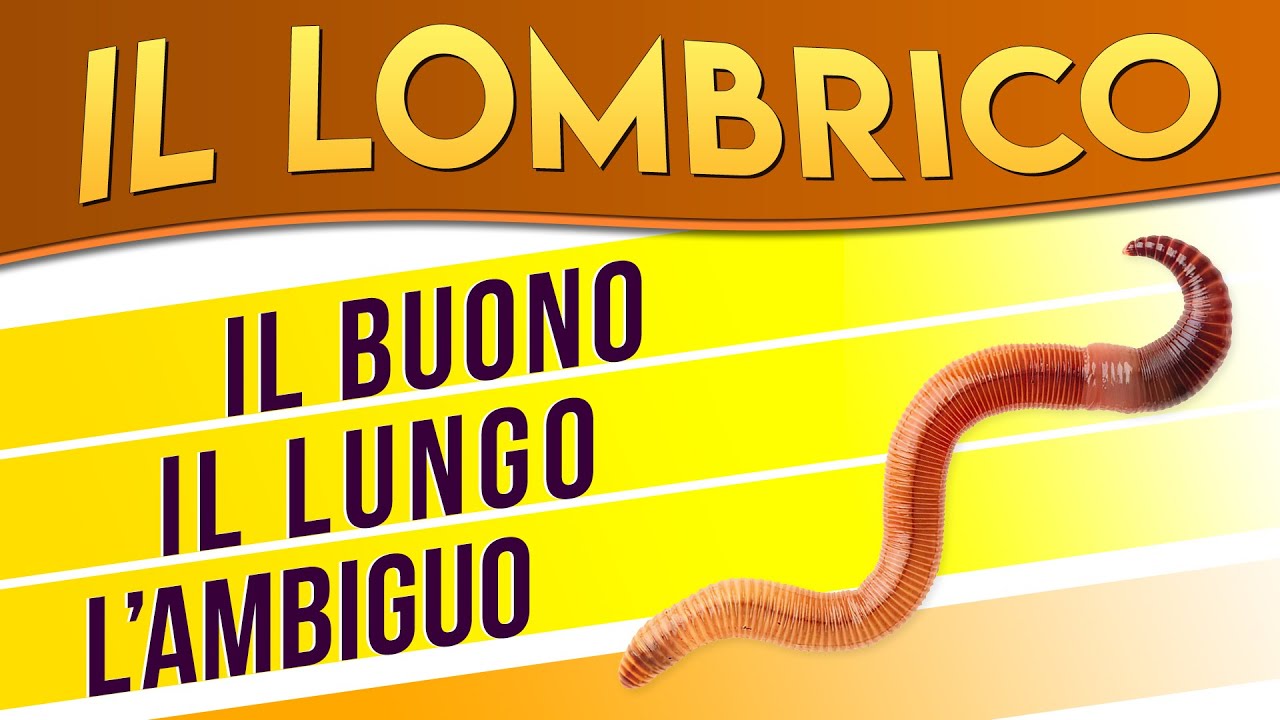 Il Lombrico: il buono, il lungo, l'ambiguo ► Puntata 15